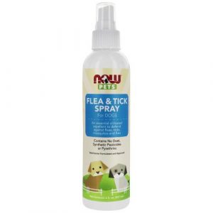 NOW Pets - Flea & Tick Spray - 8 Fl. Oz (237 Ml)